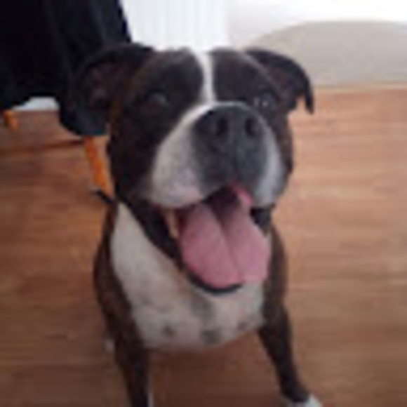 Meet your Posher, Heather - Picture 1 of 1